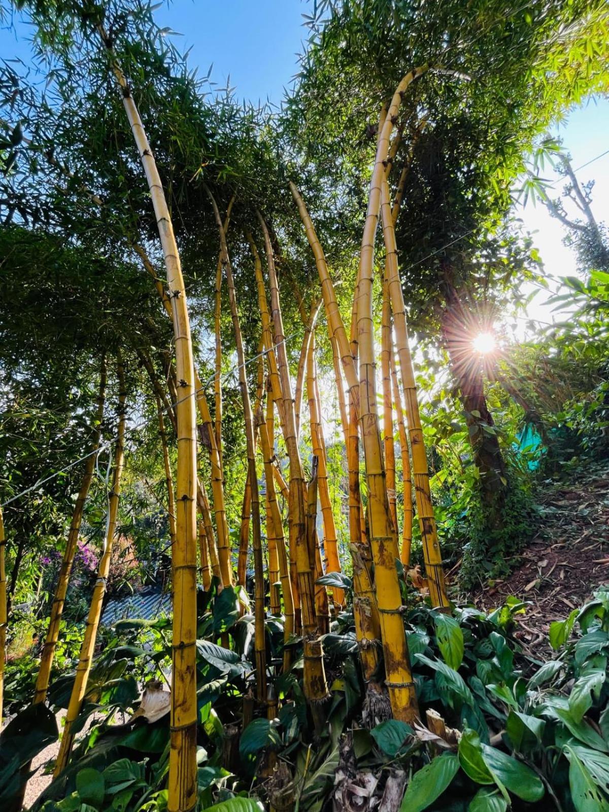 Lush Acres Villa Thekkady Luaran gambar