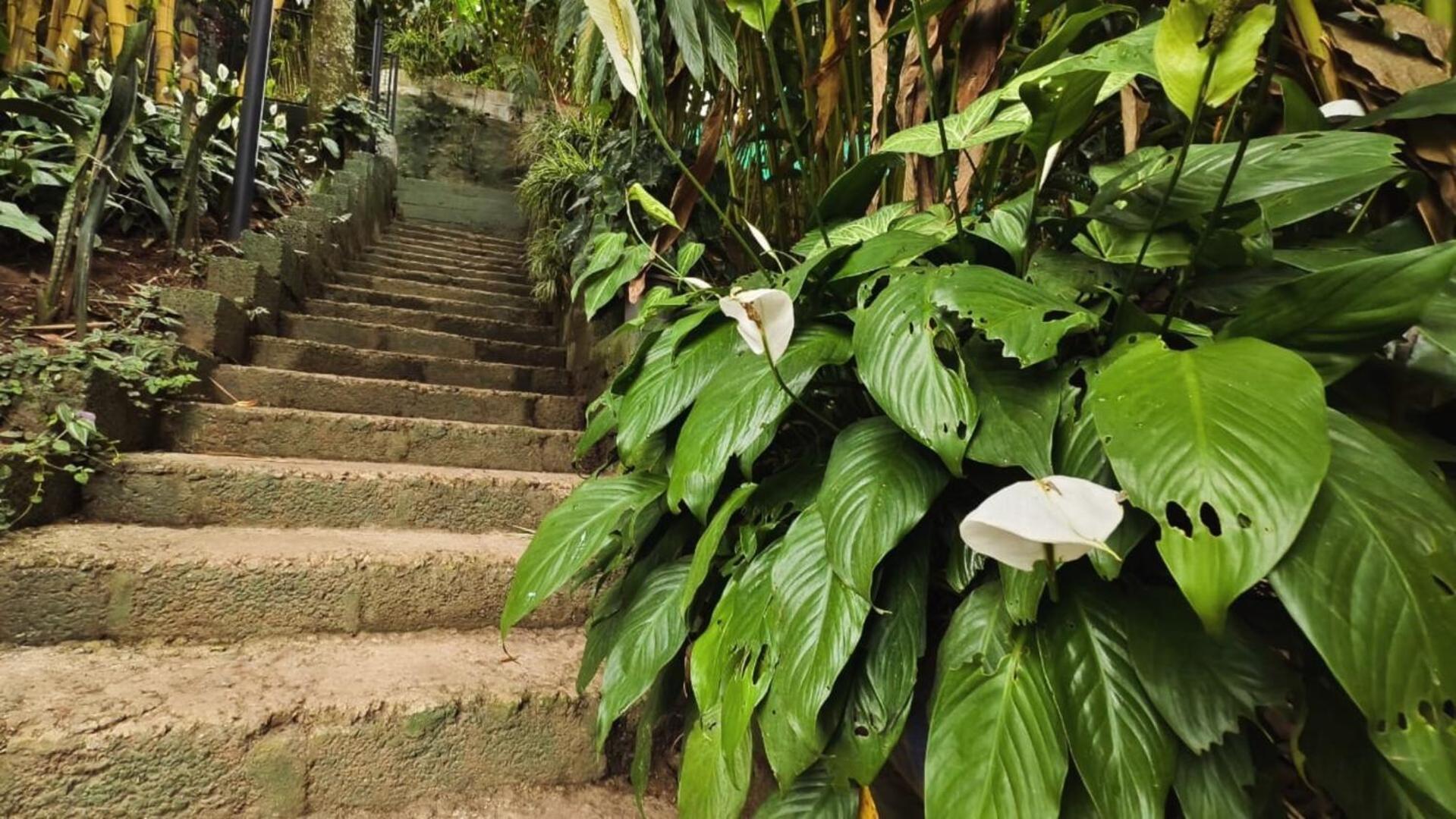 Lush Acres Villa Thekkady Luaran gambar